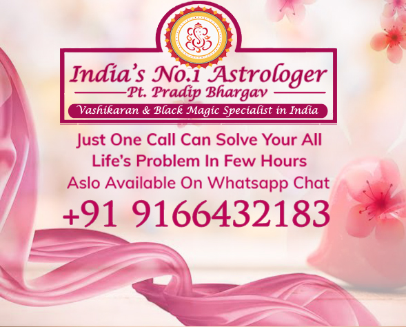 Love vashikaran Astrologer in Vadodara